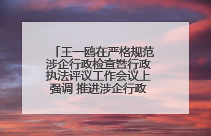 王一鸥在严格规范涉企行政检查暨行政执法评议工作会议上强调 推进涉企行政检查质效大幅提升
