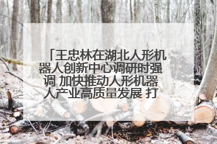 王忠林在湖北人形机器人创新中心调研时强调 加快推动人形机器人产业高质量发展 打造具有全国影响力的研发创新基地