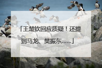 王楚钦回应质疑！还提到马龙、樊振东……