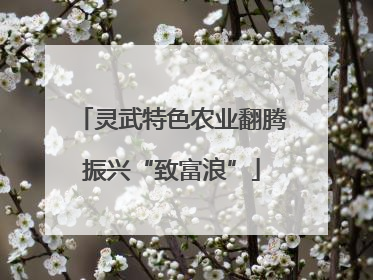 灵武特色农业翻腾振兴“致富浪”