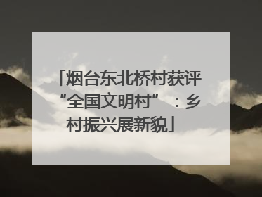 烟台东北桥村获评“全国文明村”：乡村振兴展新貌