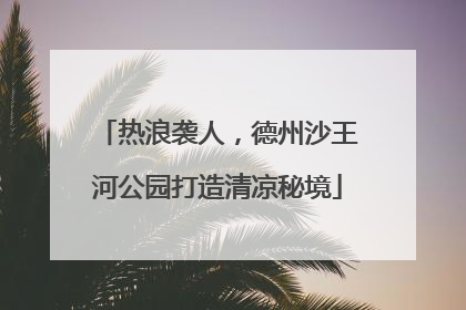 热浪袭人，德州沙王河公园打造清凉秘境
