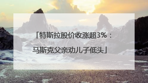 特斯拉股价收涨超3%：马斯克父亲劝儿子低头