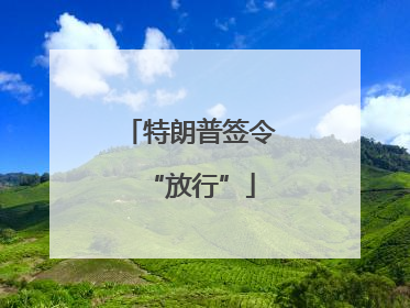 特朗普签令“放行”