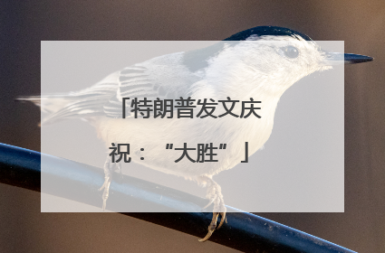 特朗普发文庆祝：“大胜”