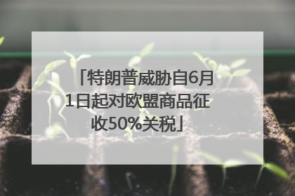 特朗普威胁自6月1日起对欧盟商品征收50%关税