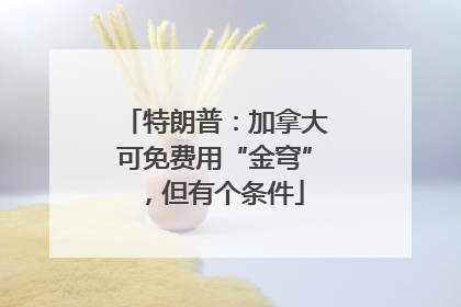 特朗普：加拿大可免费用“金穹”，但有个条件