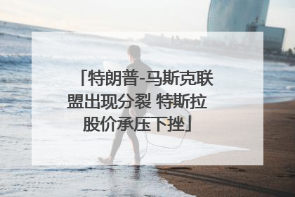 特朗普-马斯克联盟出现分裂 特斯拉股价承压下挫