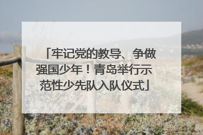 牢记党的教导、争做强国少年！青岛举行示范性少先队入队仪式
