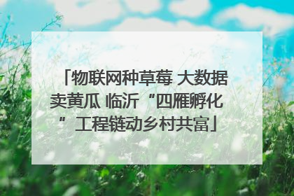 物联网种草莓 大数据卖黄瓜 临沂“四雁孵化”工程链动乡村共富