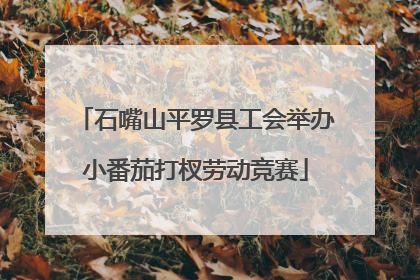 石嘴山平罗县工会举办小番茄打杈劳动竞赛