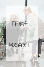石家庄：当夏荷美