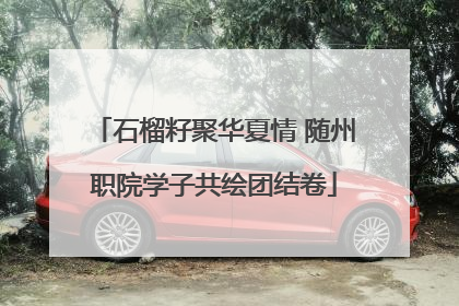 石榴籽聚华夏情 随州职院学子共绘团结卷