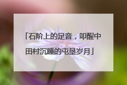 石阶上的足音，叩醒中田村沉睡的屯垦岁月