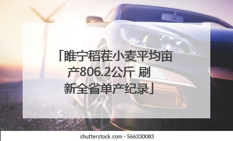 睢宁稻茬小麦平均亩产806.2公斤 刷新全省单产纪录