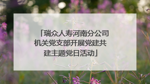 瑞众人寿河南分公司机关党支部开展党建共建主题党日活动