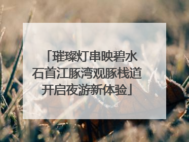 璀璨灯串映碧水 石首江豚湾观豚栈道开启夜游新体验