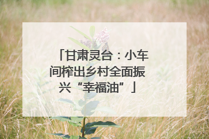甘肃灵台：小车间榨出乡村全面振兴“幸福油”