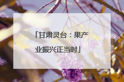 甘肃灵台：果产业振兴正当时