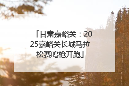 甘肃嘉峪关：2025嘉峪关长城马拉松赛鸣枪开跑