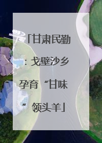 甘肃民勤：戈壁沙乡孕育“甘味”领头羊