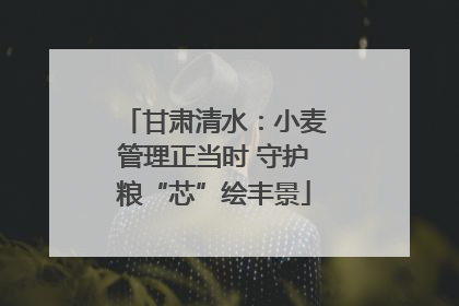 甘肃清水：小麦管理正当时 守护粮“芯”绘丰景