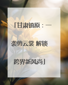 甘肃镇原：一袭剪云裳 解锁跨界新风尚