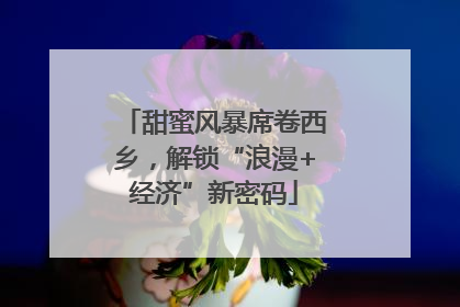 甜蜜风暴席卷西乡，解锁“浪漫+经济”新密码