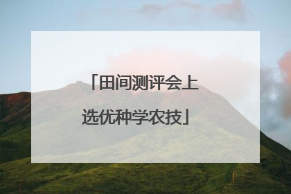 田间测评会上选优种学农技