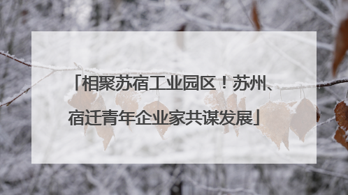 相聚苏宿工业园区！苏州、宿迁青年企业家共谋发展