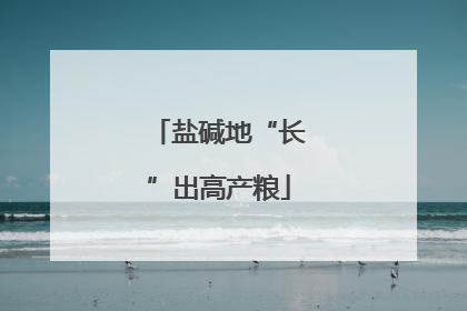 盐碱地“长”出高产粮