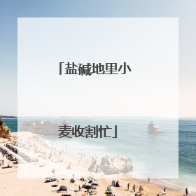 盐碱地里小麦收割忙