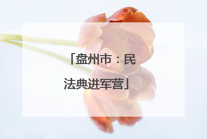 盘州市：民法典进军营