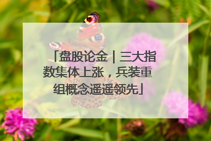 盘股论金｜三大指数集体上涨，兵装重组概念遥遥领先