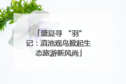 盛夏寻 “羽” 记：滇池观鸟掀起生态旅游新风尚