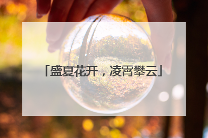 盛夏花开，凌霄攀云