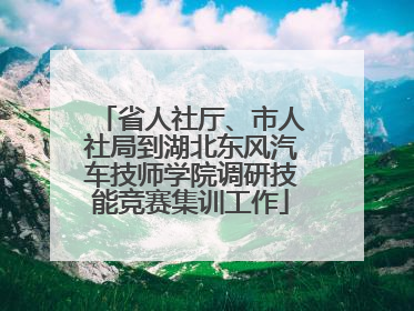 省人社厅、市人社局到湖北东风汽车技师学院调研技能竞赛集训工作