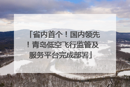 省内首个！国内领先！青岛低空飞行监管及服务平台完成部署
