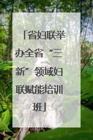 省妇联举办全省“三新”领域妇联赋能培训班