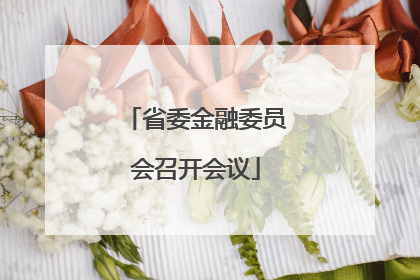 省委金融委员会召开会议