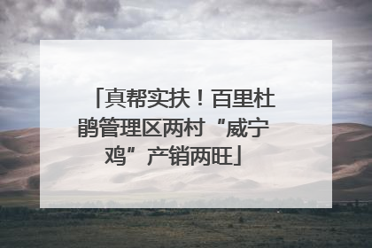真帮实扶！百里杜鹃管理区两村“威宁鸡”产销两旺