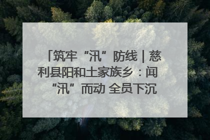 筑牢“汛”防线｜慈利县阳和土家族乡：闻“汛”而动 全员下沉筑牢防汛“安全堤”