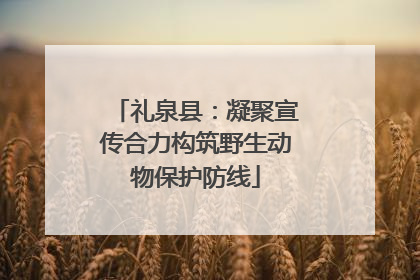 礼泉县：凝聚宣传合力构筑野生动物保护防线