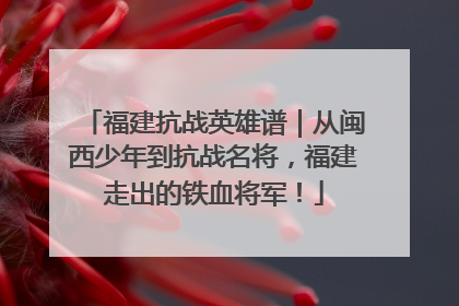 福建抗战英雄谱｜从闽西少年到抗战名将，福建走出的铁血将军！
