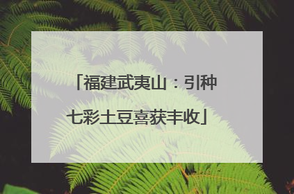 福建武夷山：引种七彩土豆喜获丰收