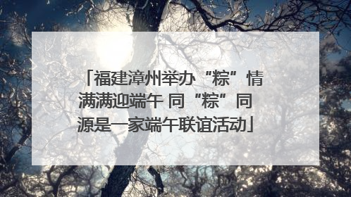 福建漳州举办“粽”情满满迎端午 同“粽”同源是一家端午联谊活动