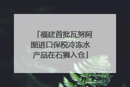 福建首批瓦努阿图进口保税冷冻水产品在石狮入仓