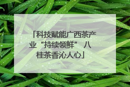 科技赋能广西茶产业“持续领鲜” 八桂茶香沁人心