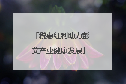 税惠红利助力彭艾产业健康发展