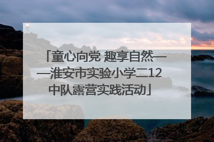童心向党 趣享自然——淮安市实验小学二12中队露营实践活动